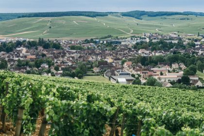 Chablis Beyond the Vineyards