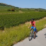 Cycling Routes Through Burgundy Vineyards