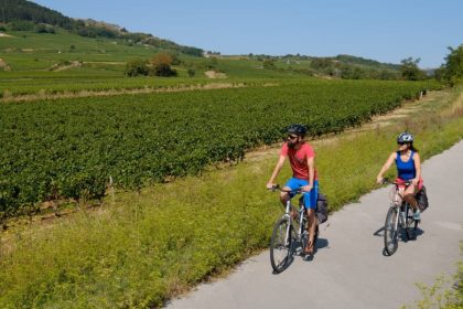 Cycling Routes Through Burgundy Vineyards