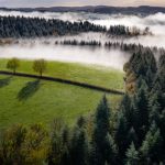 National and Regional Parks Around Burgundy