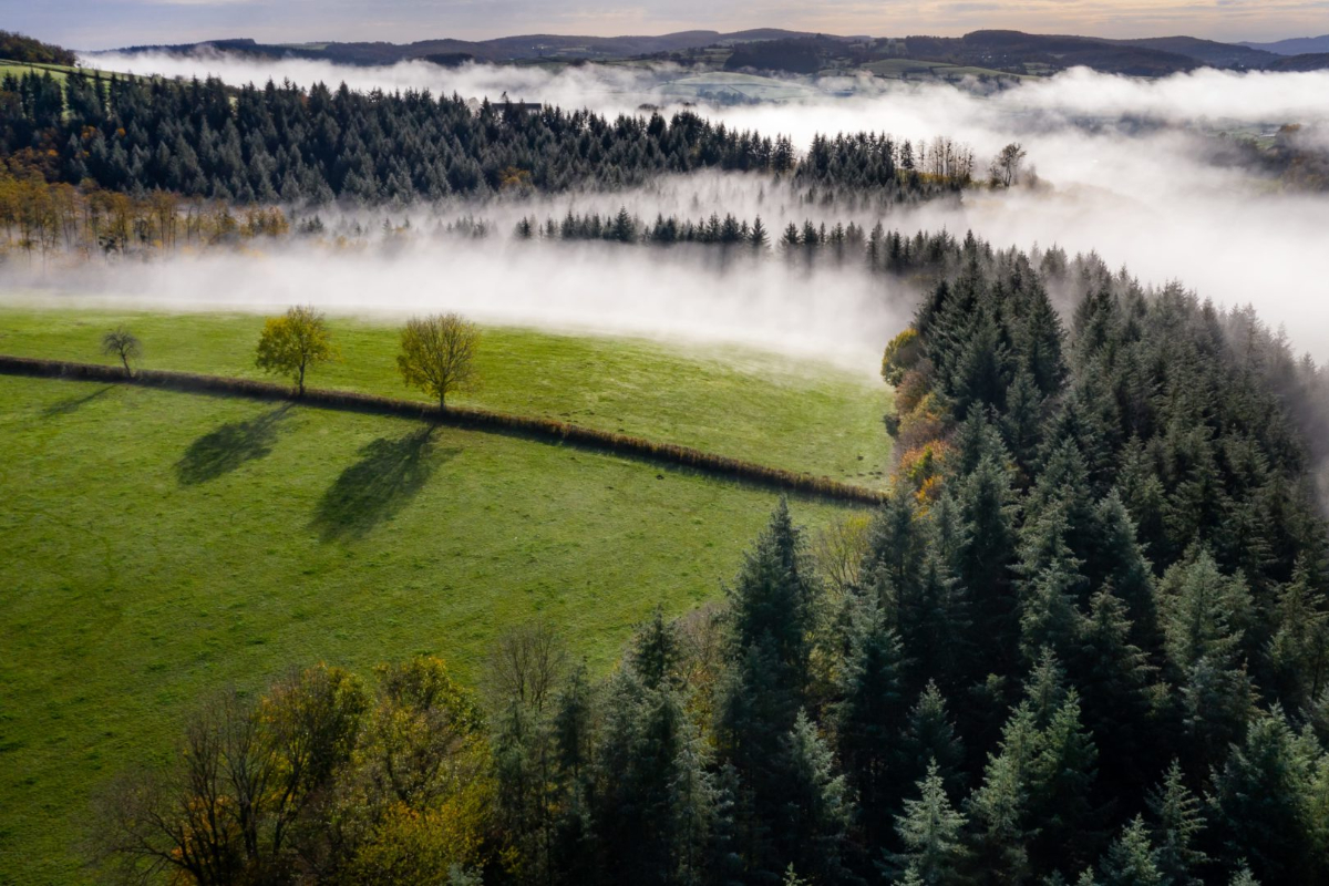 National and Regional Parks Around Burgundy
