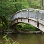The River Cousin and Its Valley