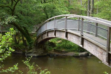 The River Cousin and Its Valley