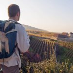 Walking and Hiking Trails in Burgundy